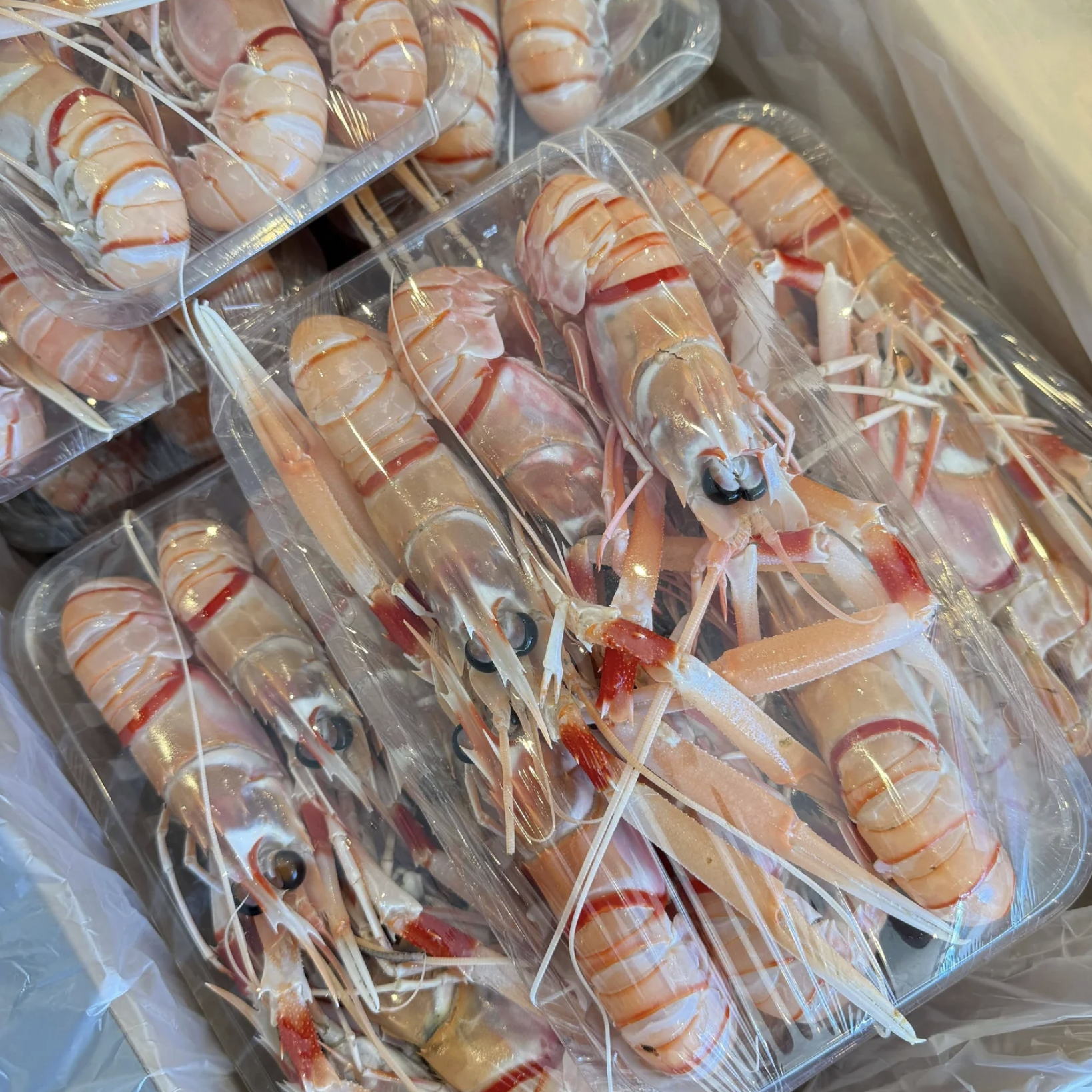Scampi (Locally Caught) 500g